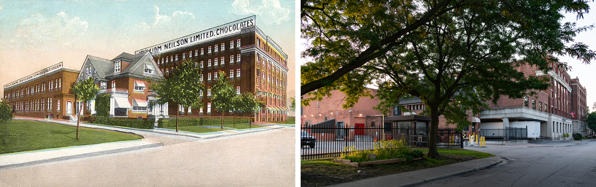 Color postcard on the left: small 2.5 story brick home with a two story brick factory behind and a five story brick factory to the right, sign says William Neilson Limited Chocolates, a row of immature street trees. Photo on the right: 2.5 story brick home, a little guardhouse, big white truck in a loading bay, one mature tree, no sign.